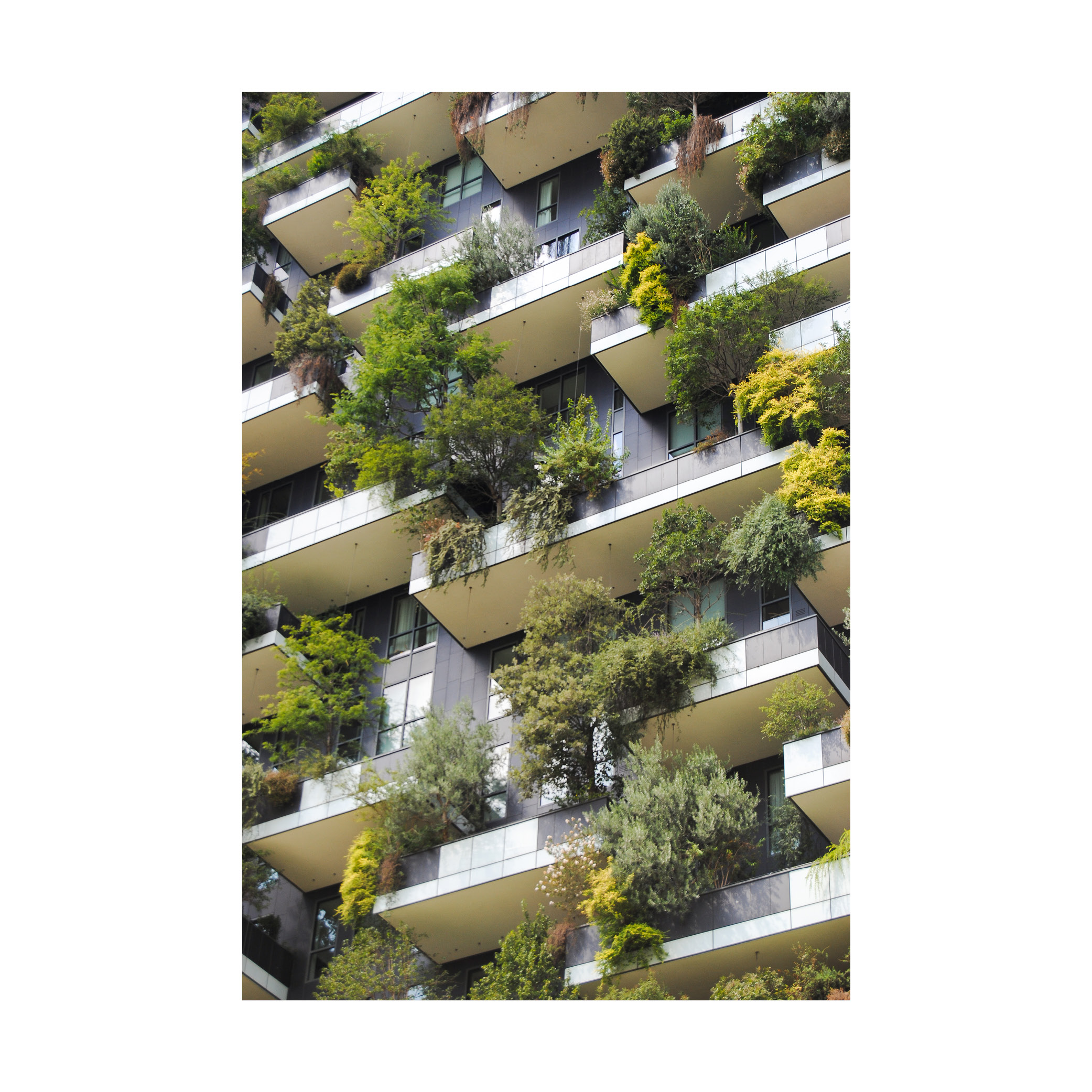 Milano_ThannEriksson_Insta_Mall_Verticale2